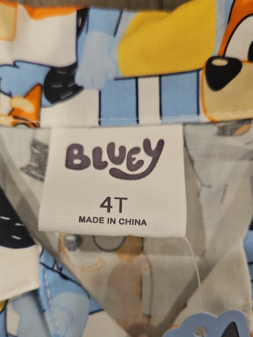 Bluey 2 PC Short Set NWT Size 4T